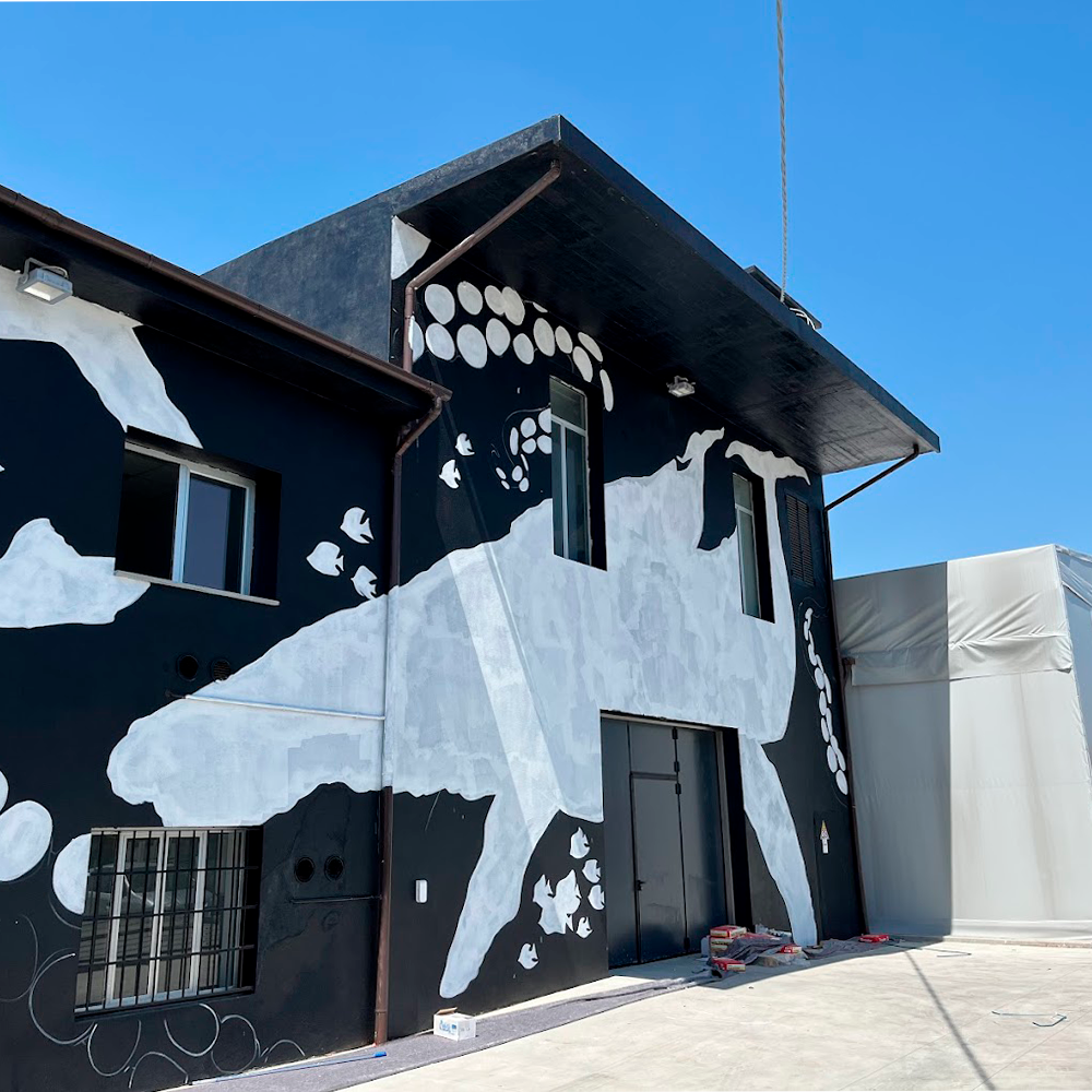 COLORIFICIO SALVADORI